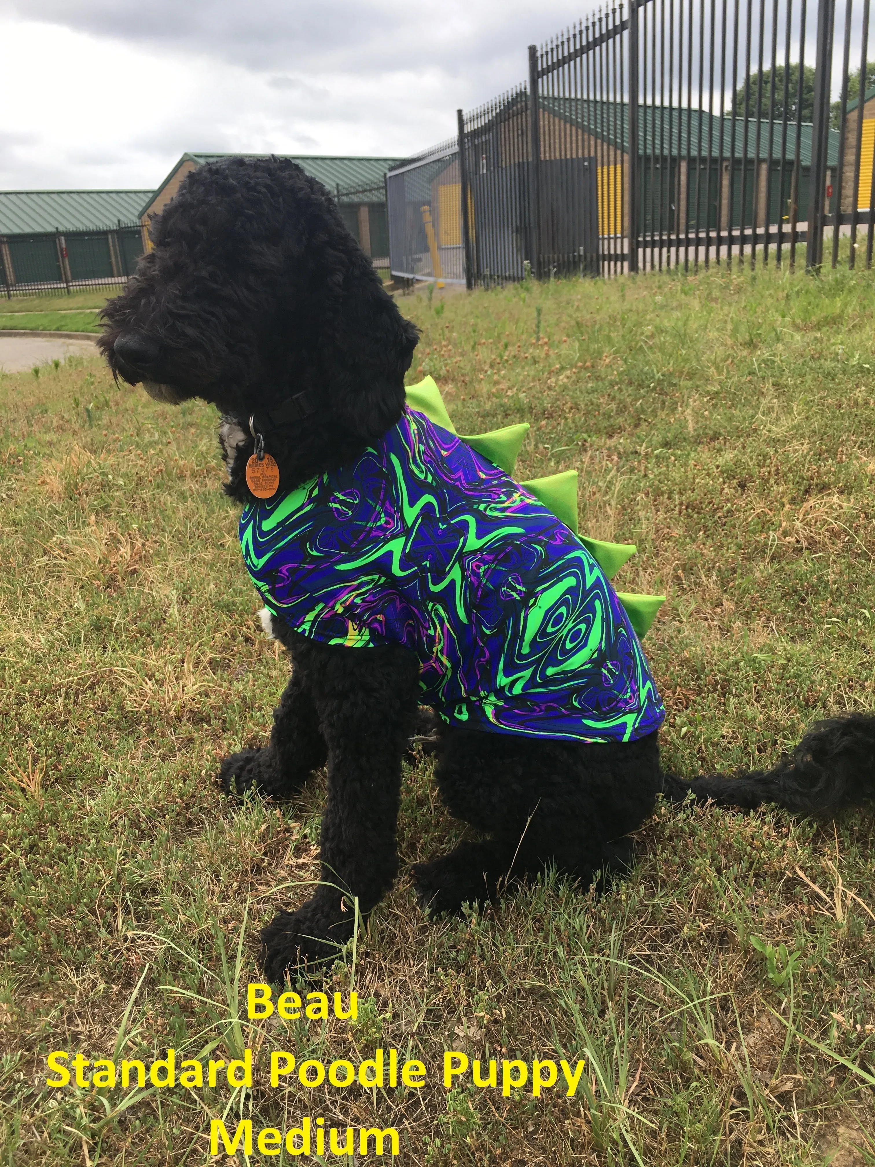 Blue Sparkly Jewel Holographic Pet Shirt