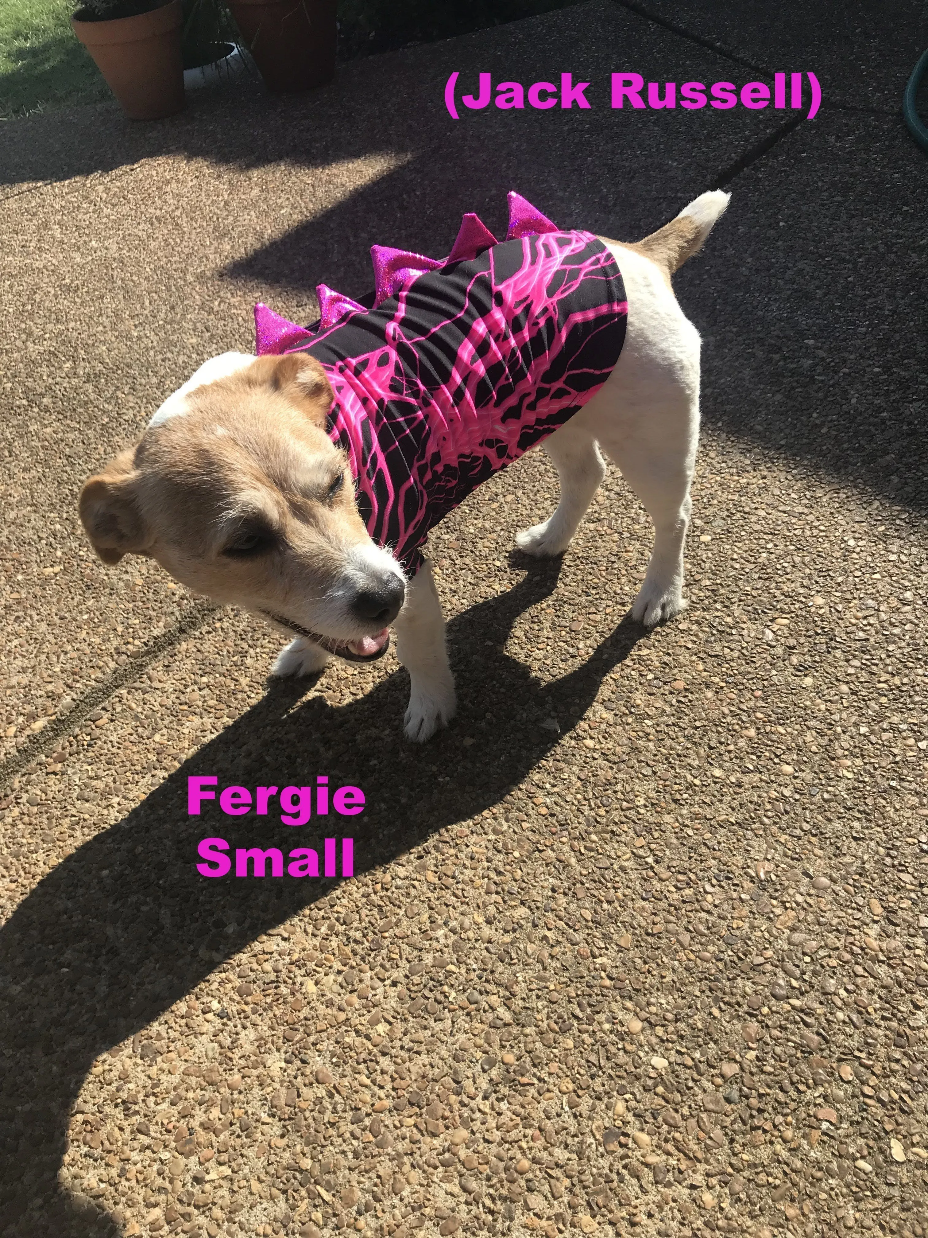 Silver & Black Spiked Pet Shirt